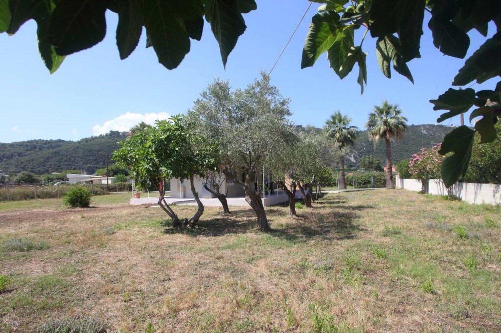 Holiday home Olga Agios Ioannis - *